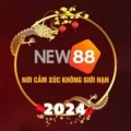 New888g Fund – Cược càng nhiều nhận thưởng càng cao